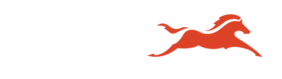 TVS Motor